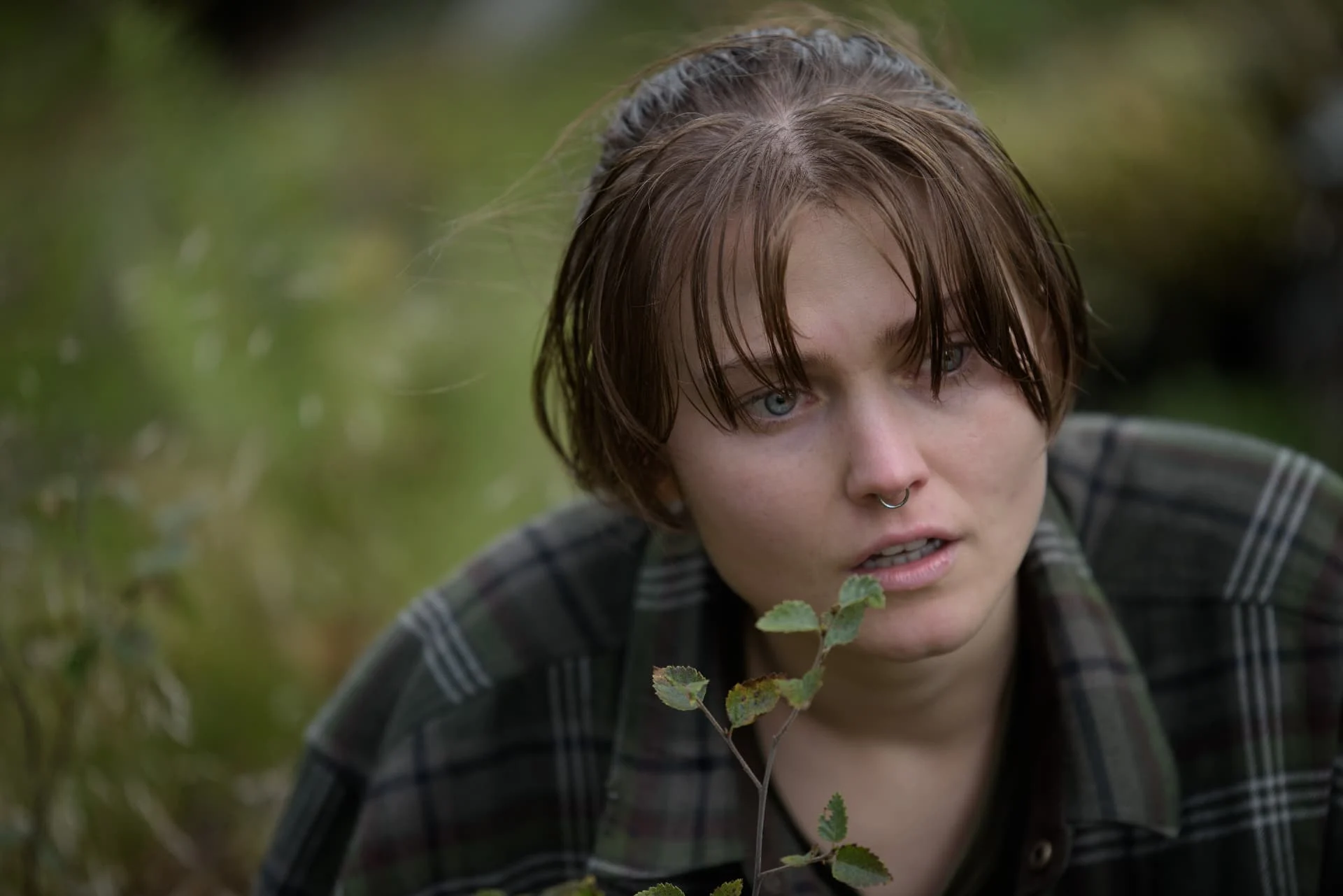 Villebråd — ur filmen — Foto Katarina Hansson